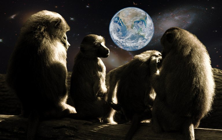 planet-of-the-apes-679911_1920.jpg