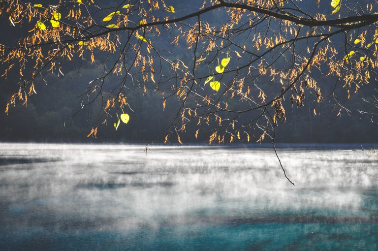 114.Daybreak on Five Flower Lake, Jiuzhaigou, Sichuan, China..jpg