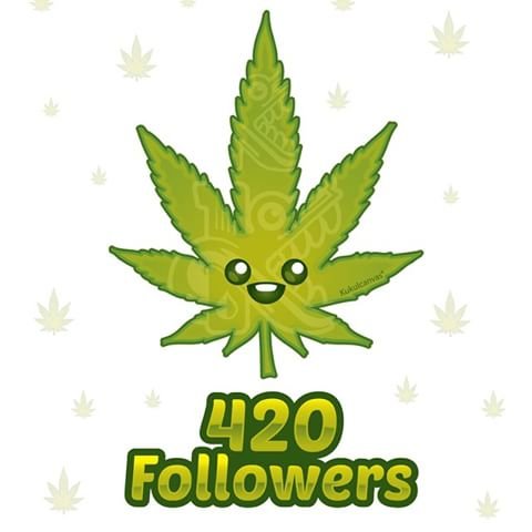 420 followers.jpg