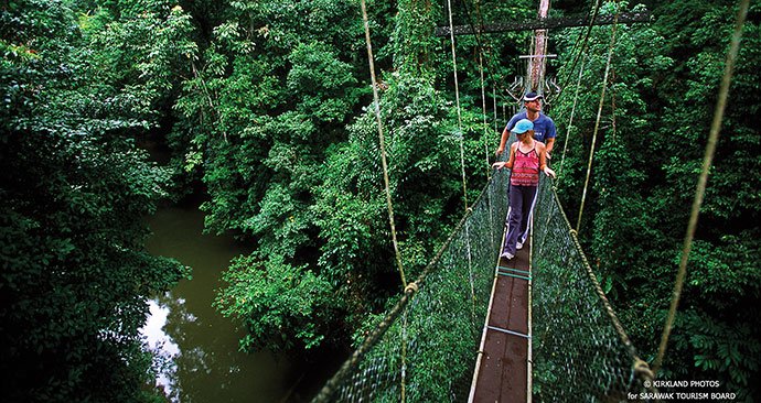 Danum-Valley_Sarawaktourism.jpg