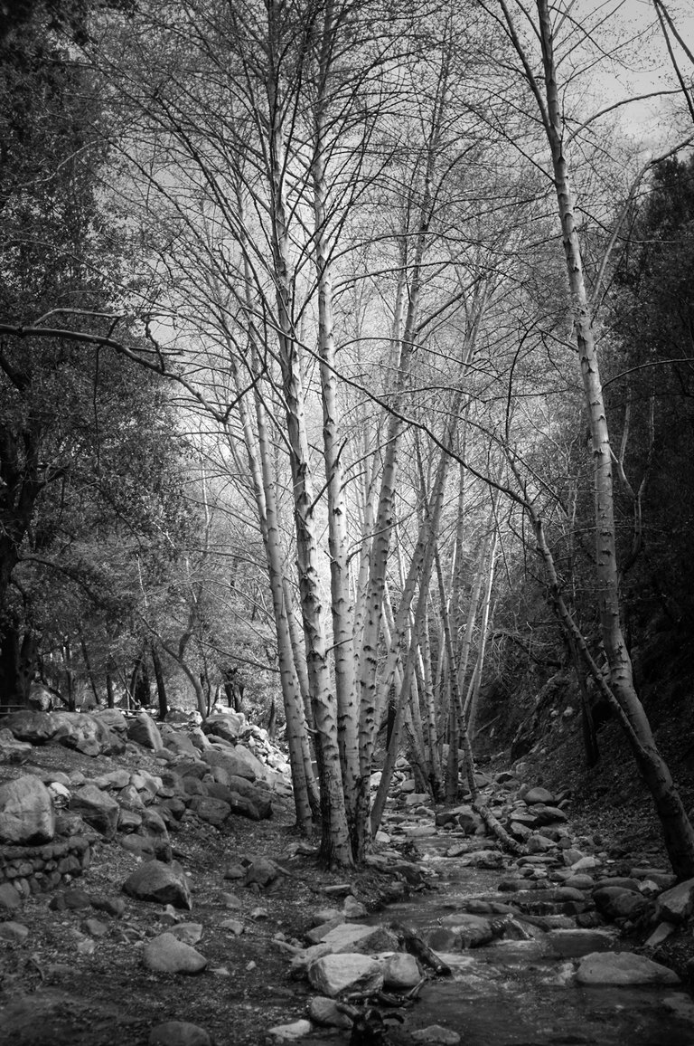 DSCF3435.jpg