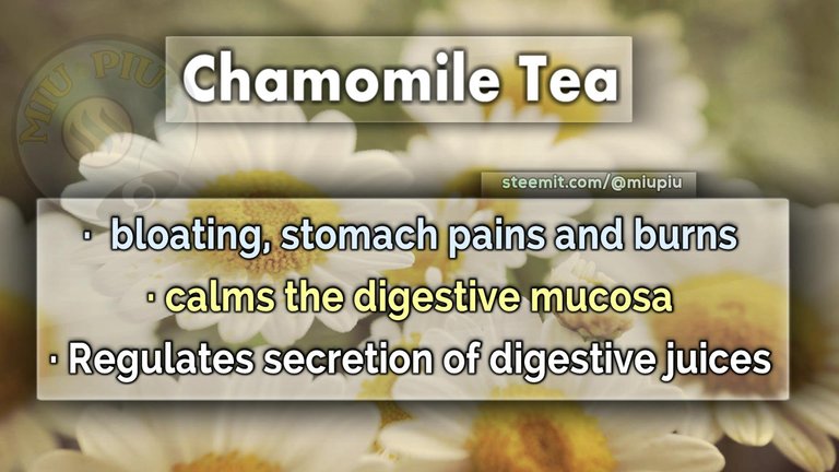 miupiu steemit chamomile tea digestion.jpg