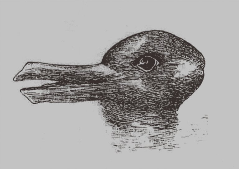 rabbit-duck-illusion.jpg