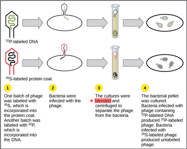 Figure_14_01_03-.jpg