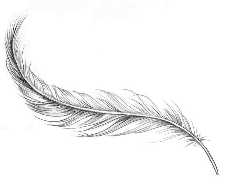 35335b1eeab0999e166b50d91089c56f--feather-tattoo-arm-feather-tattoo-design.jpg