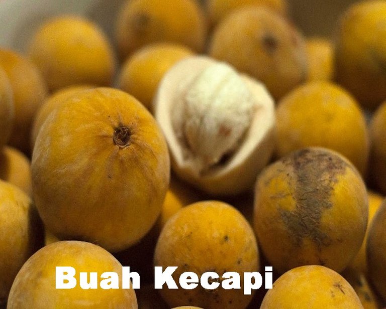 buah-kecapi.jpg