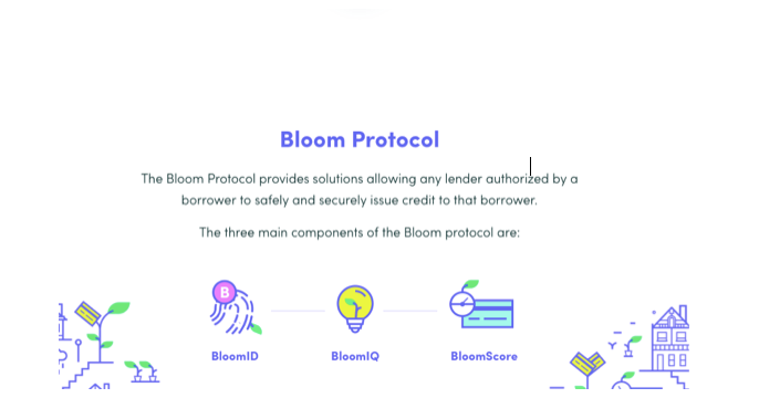 Bloom Protocol.png