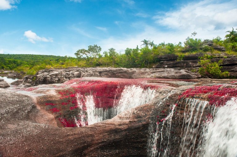 Cano-Cristales-sector-Los-Ochos-Colombia-1024x681.jpg