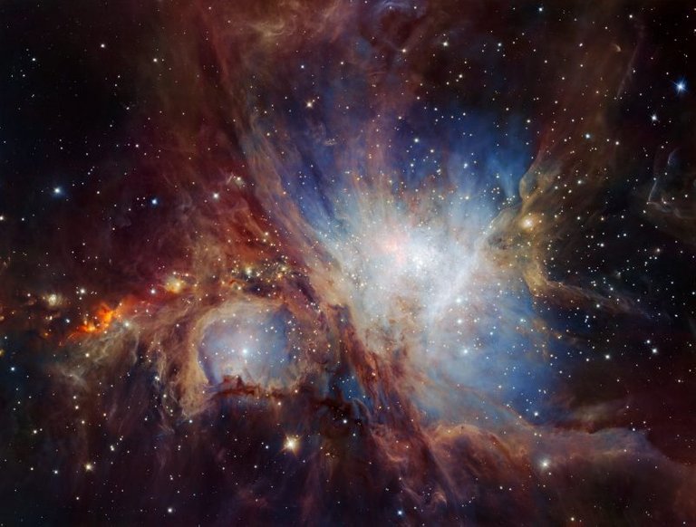 orion nebula.jpg