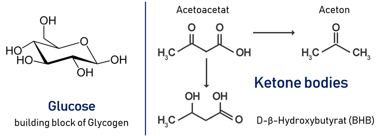 energy-sources-1.png