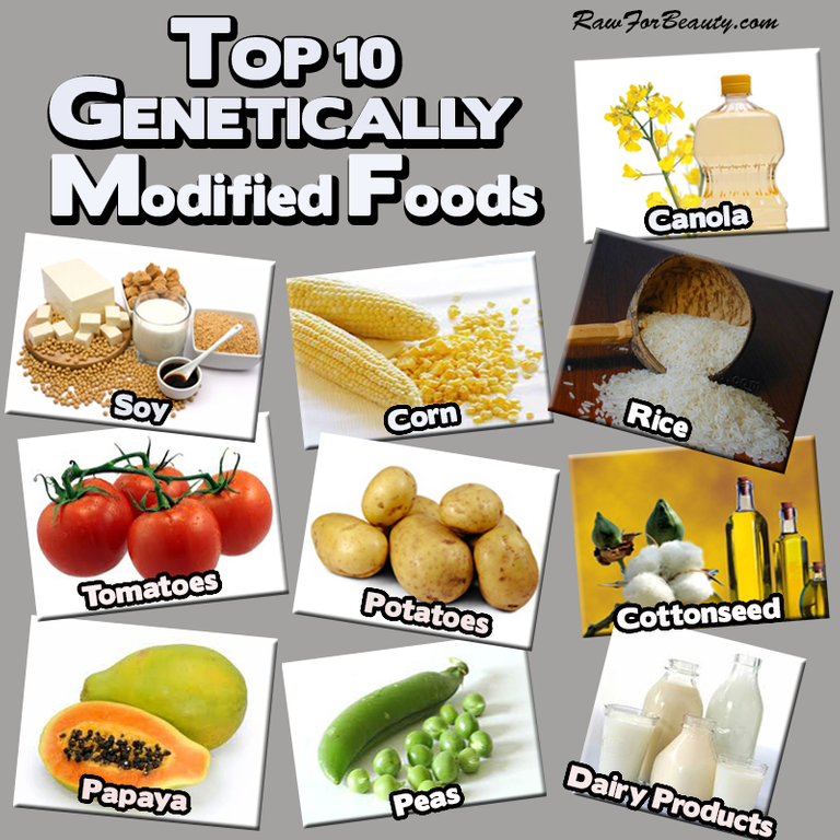 top_ten_genetically_modified_foods.png