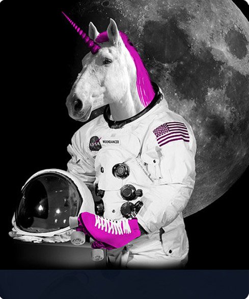 space-unicorn.jpg