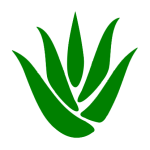 icon-aloevera2-150x150.png