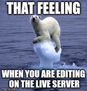 that feeling when you are editing on the live server.jpg
