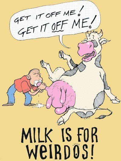 47e4a9afffbf5a4c00eb76115b091e7a--baby-cows-vegan-humor.jpg