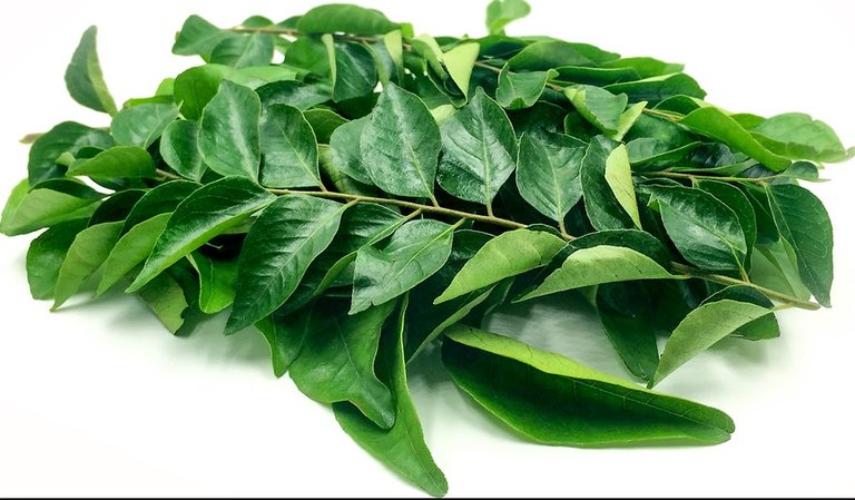 Curry leaves.jpg