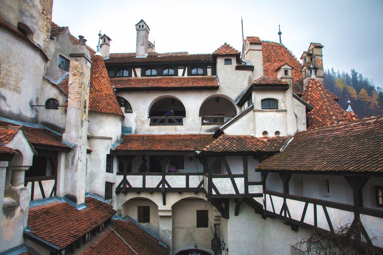 brasov-bran-135.jpg