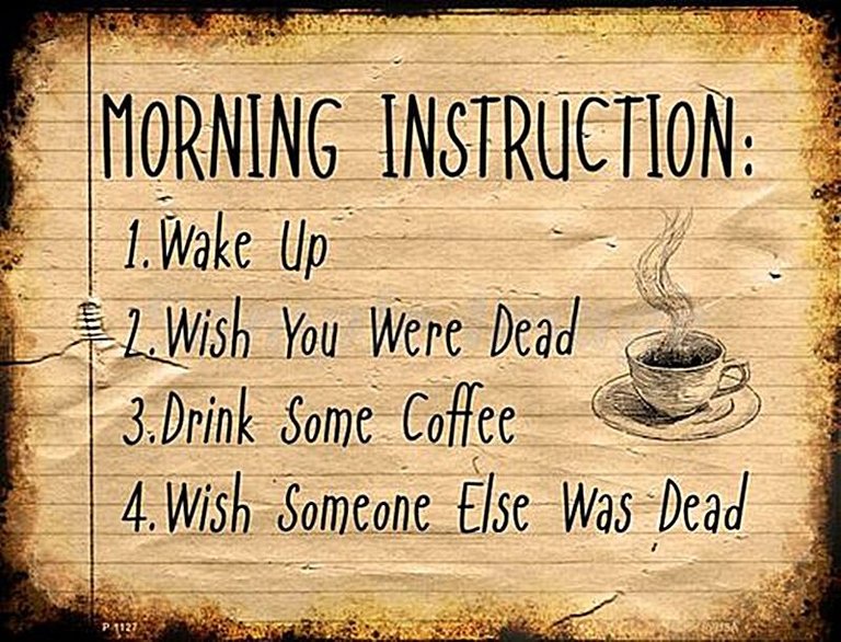 morning-instructions-wake-up-wish-you-were-dead-drink...-funny-metal-sign-305mm-x-225mm-sb--11221-p.jpg