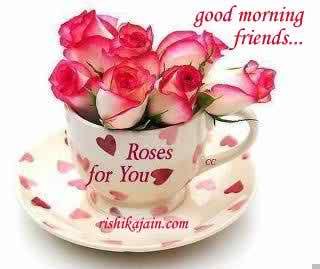 Gd mrng rose..jpg