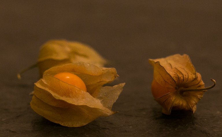 Three_physalis_fruits.jpg