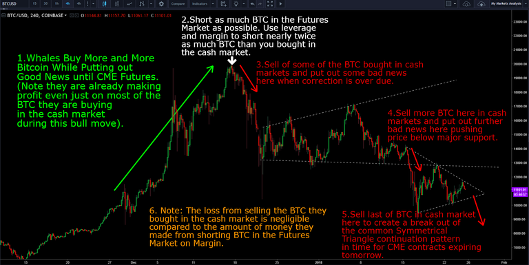 how whales profit from bitcoin futures.png