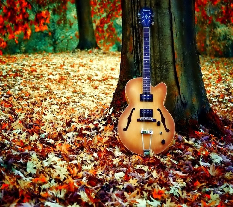 hd_guitar-wallpaper-10309076.jpg