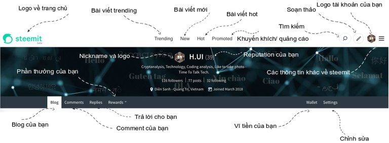 Giao diện và cách sử dụng Steemit UI UX