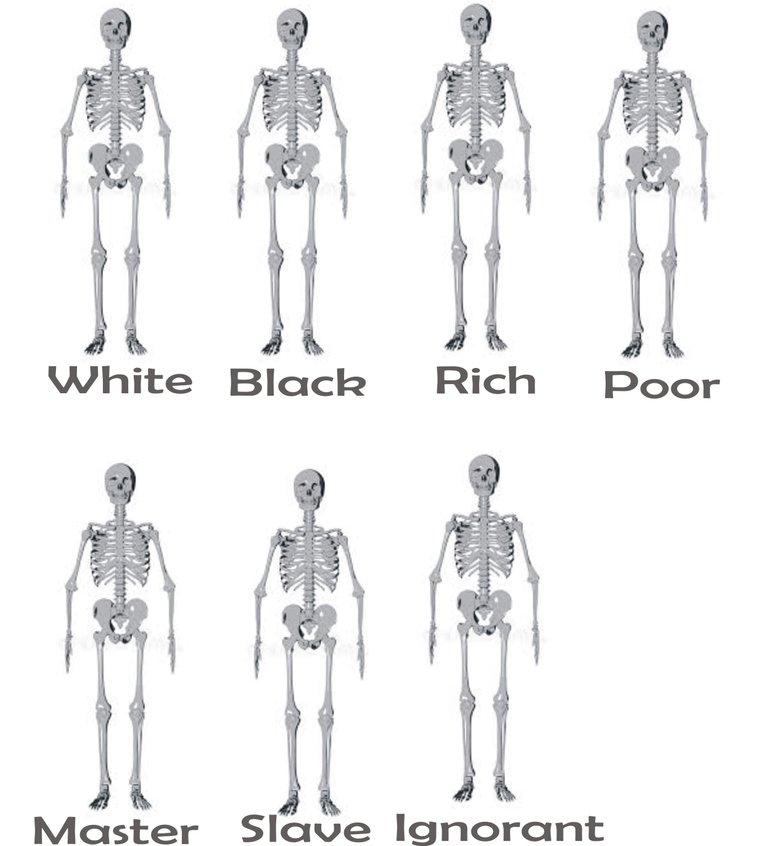 skeletonsss.jpg