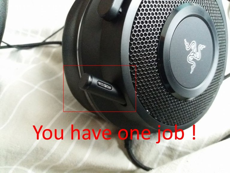 razer ,,#PRO''.jpg