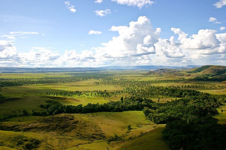 La_Gran_Sabana-venezuela.jpg