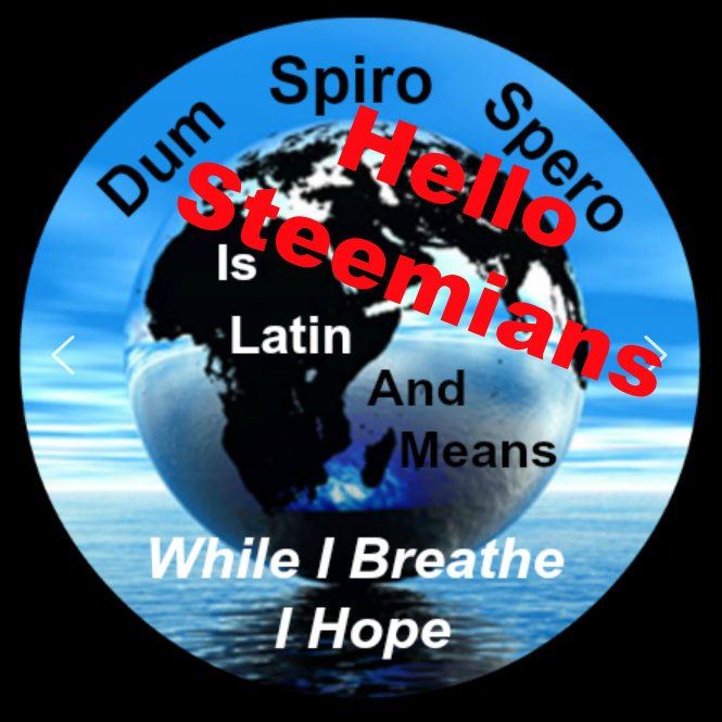 DUM SPIRO SPERO MEANS WM .jpg