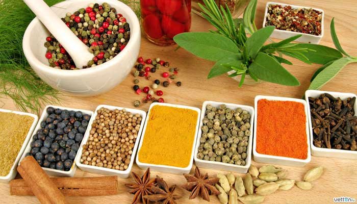 ayurveda-spice11-5a548d99aa0d4.jpg