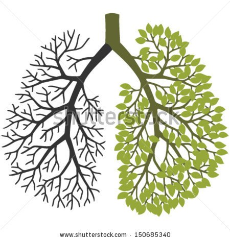 stock-vector-tree-branches-like-the-lungs-one-branch-without-leaves-the-other-with-leaves-150685340.jpg