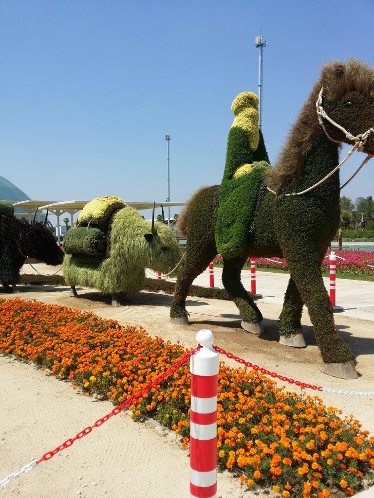 20160715_144419.jpg