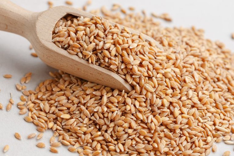 einkorn_grains.jpg.838x0_q80.jpg