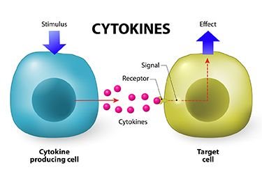 Closer-Look-Cytokines-Blog-Sidebar-Final.jpg
