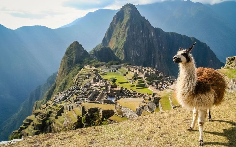 llama-at-the-machu-picchu-unesco-peru-andbeyond.jpg