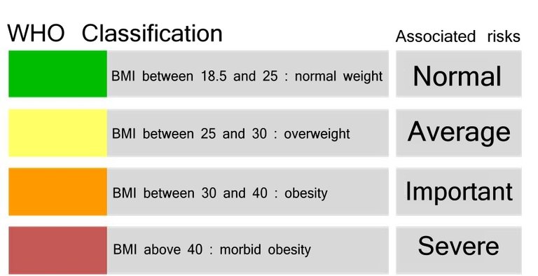 bmi.jpg