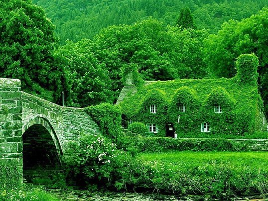 Fairytale-cottages-England.jpg