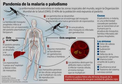 malaria 2.jpg