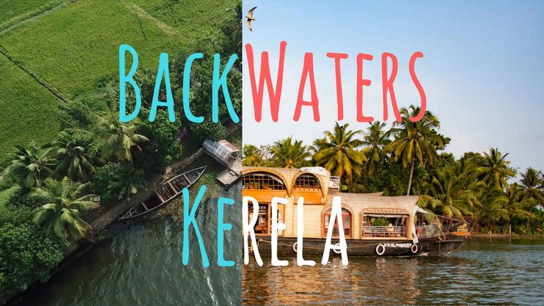 Backwaters Kerala .jpg