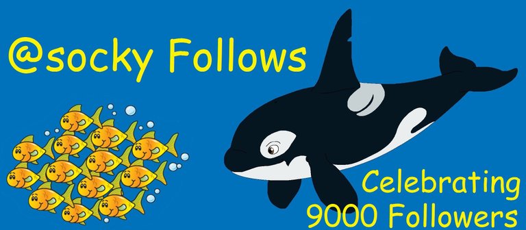 orca follow celebrate.jpg