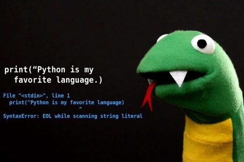 python-476x317.jpeg