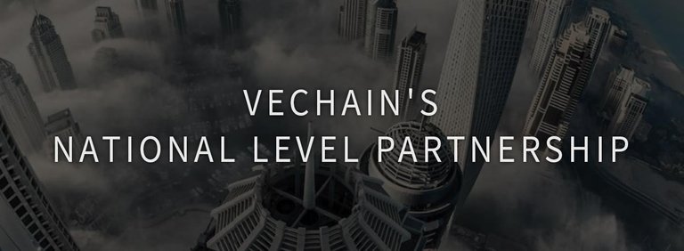 vechain.jpg