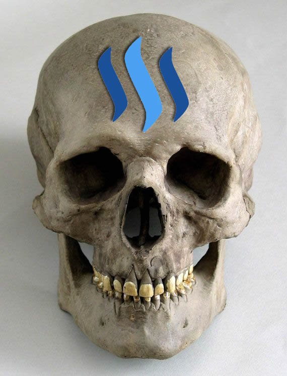 7db3176e3822d8c0f54f8d537057422f--human-skull-anatomy-head-anatomy.jpg