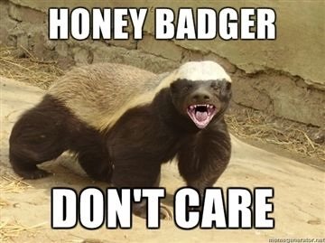 honey-badger.jpg