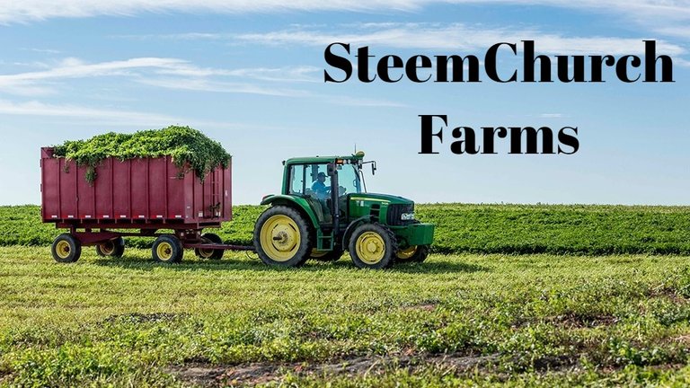 Steem church farms.jpg