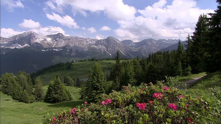 934044709-plessur-range-panorama-of-the-alps-arosa-switzerland-mountain-range.jpg