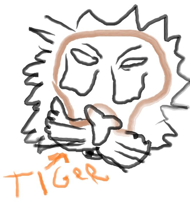 tiger.jpg