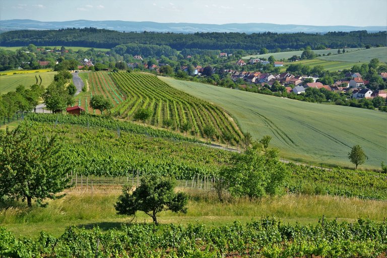 View_from_Modrá_observation_tower,_Moravia.jpg